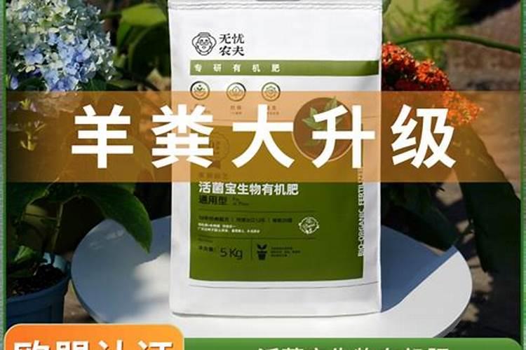 芝麻饼肥料适合什么花