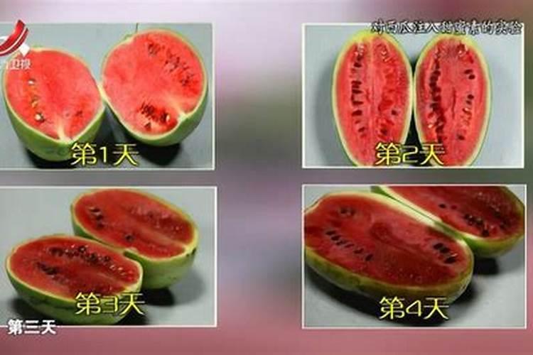 磷肥过多对西瓜的作用