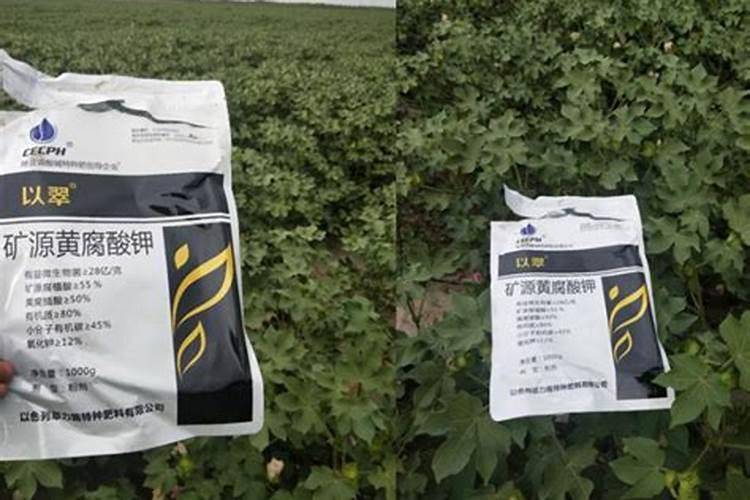 德州祥升肥业有限公司怎么样？
