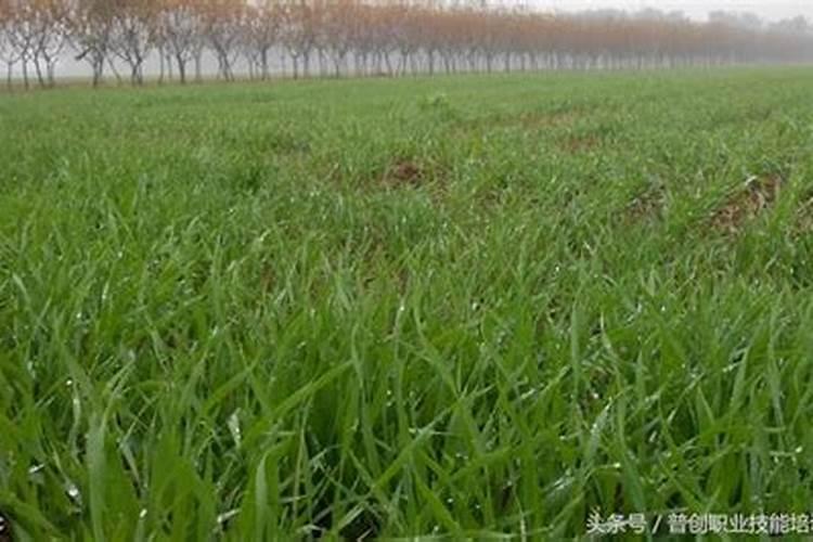 土壤检测的方法和步骤