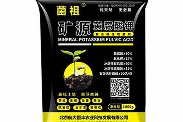 长寿花浇水时间和正确方法