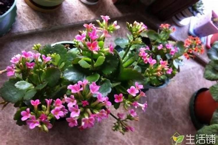 水溶肥,含量配比怎么计算,,,如201030怎么配