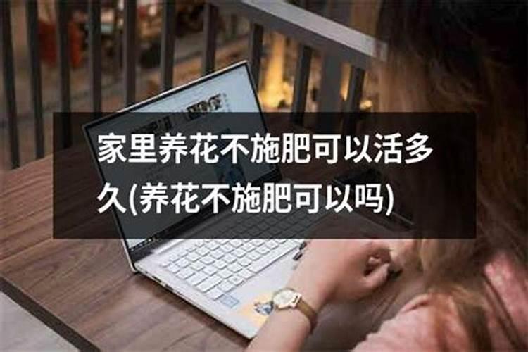 龙血树多久浇一次水？龙血树浇水要做好这几点!