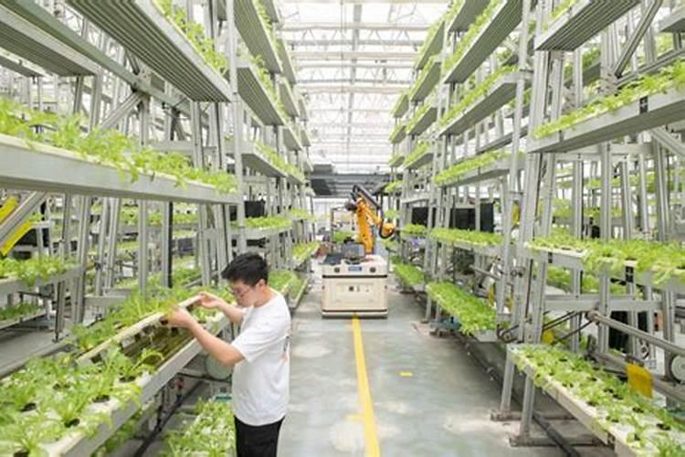 何谓果树冻害,预防措施有哪些