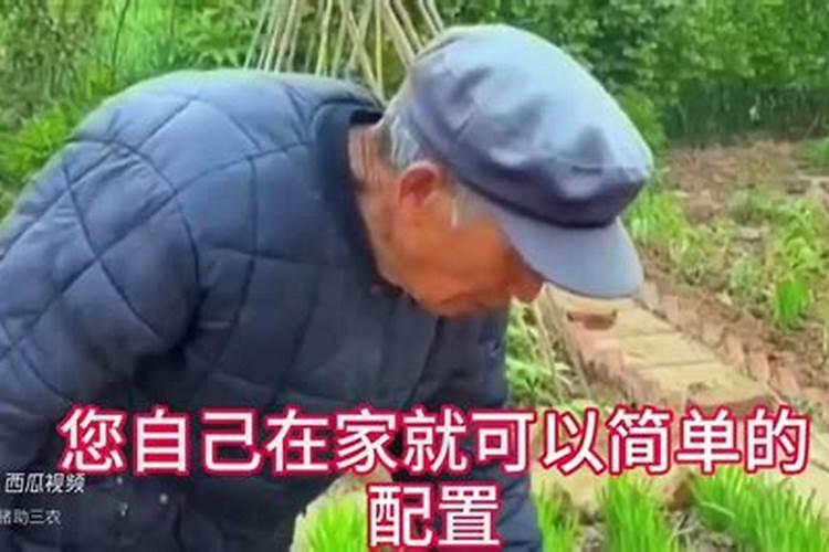 在果树上如何施用钙肥