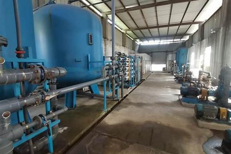 荔枝树用什么肥料最好