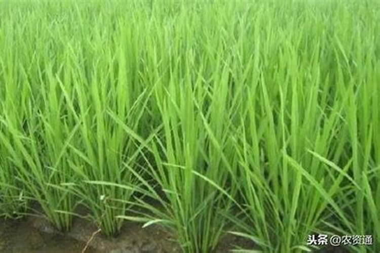 水性玻璃漆常见问题防缩孔油窝和流平