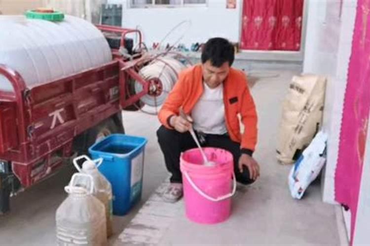 水溶肥料怎么使用