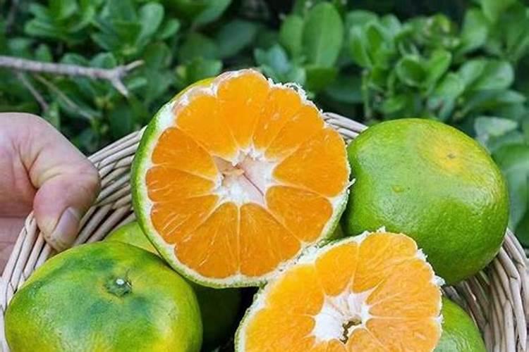 老师葡萄高甲肥料一年冲几次 钙肥冲几次什么时候冲为好