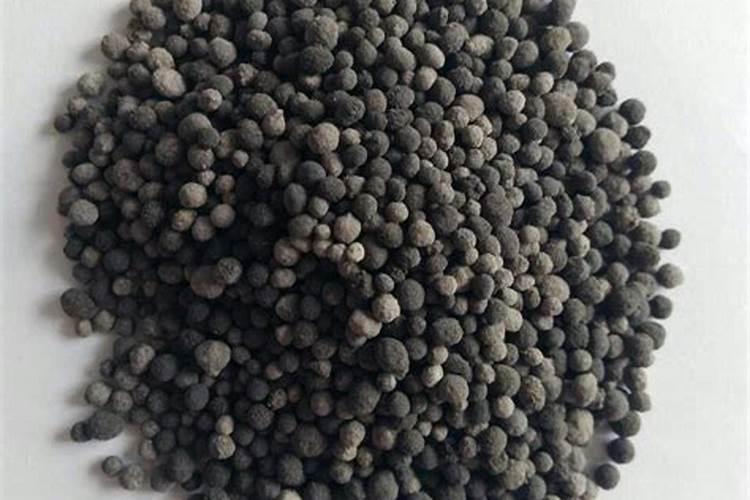 鱼炖泡菜怎么做 泡菜炖鱼的做法