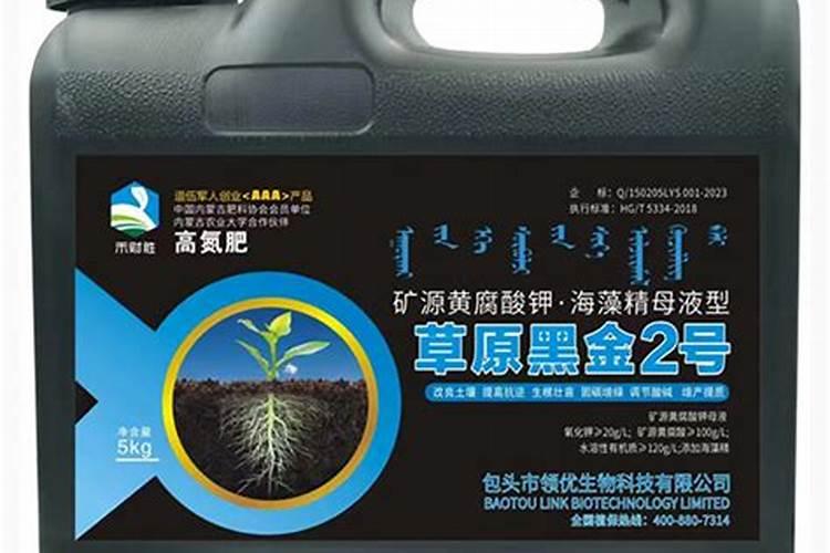 五彩椒为什么掉叶子