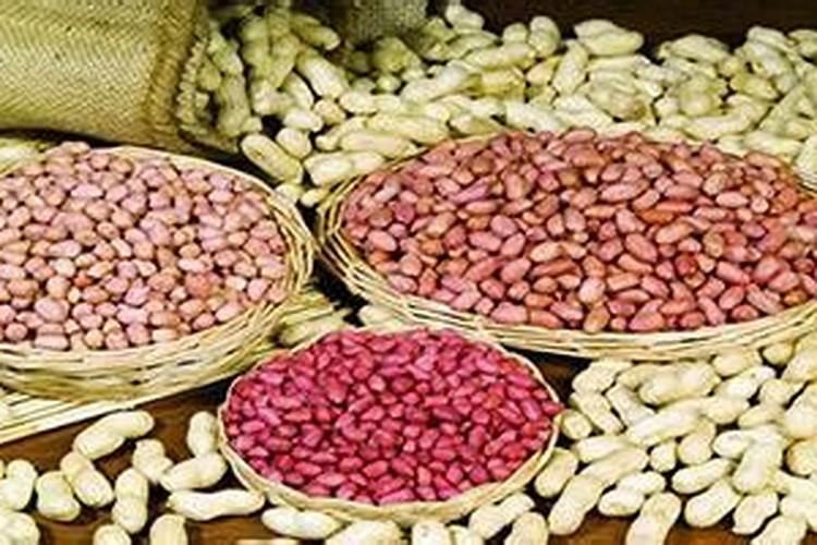 紫玉兰树施什么肥料？