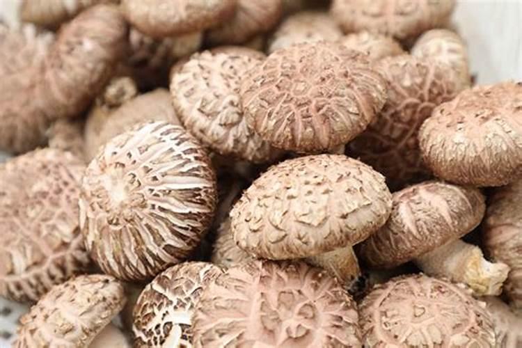 鱼塘下肥碳铵和磷肥怎么用