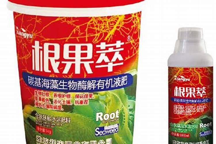 发财树剪了多久发芽 “剪了多长时间,发财树开始发芽”