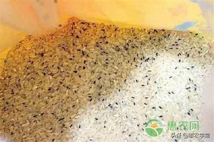 杭州有哪些茶厂