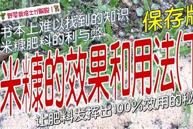 死鱼怎么样发酵可以做水肥？