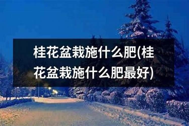 养花的十大最佳肥料