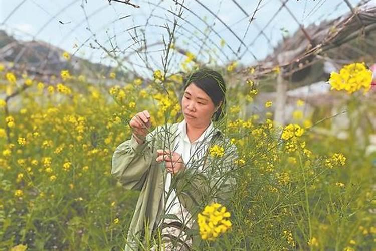 福建漳州超大微生物有机肥有限公司怎么样？