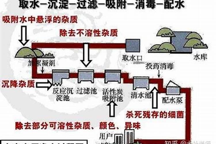 油菜叶面施肥时间及方法花卉百科