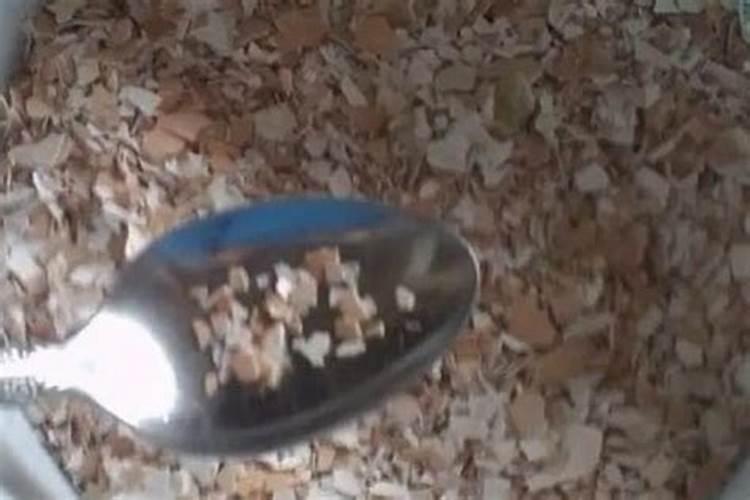 玉米种植技术与管理施肥