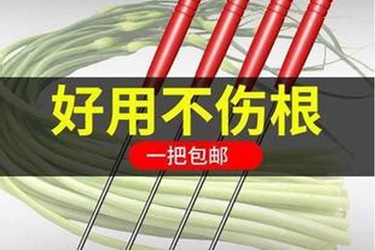 蒜苗打芸苔素能长粗壮吗？