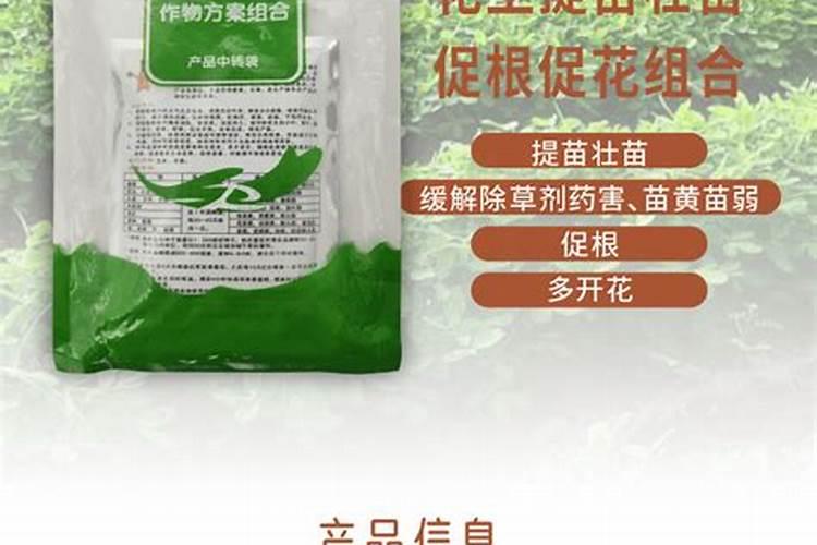 代志国发表论文