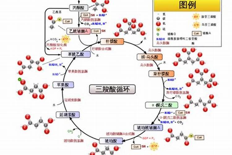 如何鉴别矿源黄腐酸钾真假？