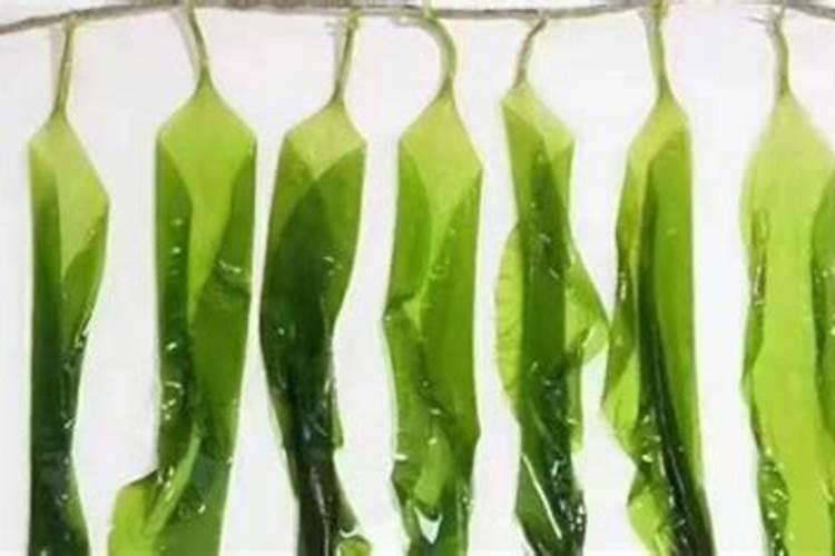 水溶肥是什么肥料 水溶性肥料的优缺点有哪些