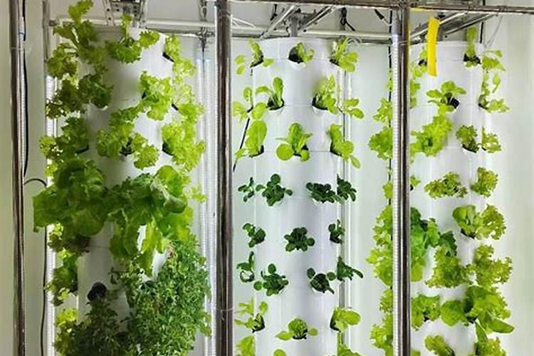 果树怎么施水溶肥？