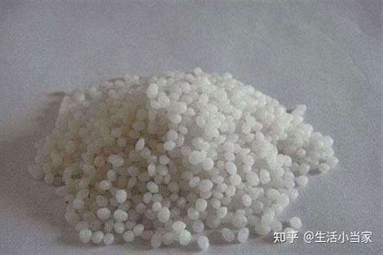 果树秋季施氮肥可以吗