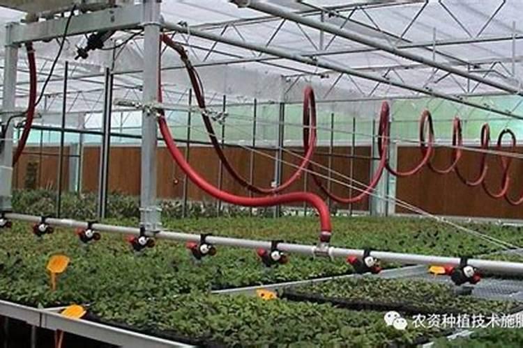 高钾配方水溶肥中的是什么意思