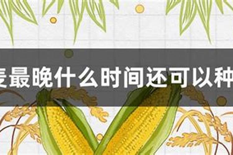我想问一下四月上旬小麦还能追肥吗？