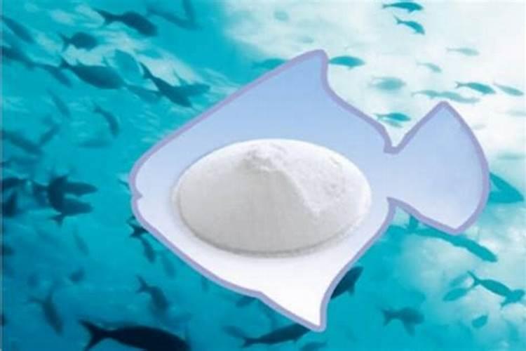 东星斑的档次比老虎斑高吗？