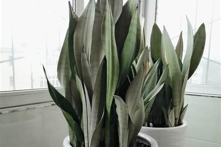 水溶肥的执行标准