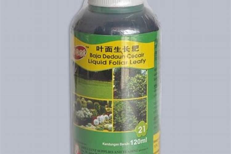 丝瓜开花后施什么肥