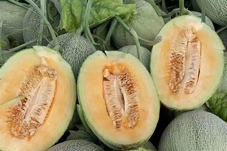 总磷、有机磷与无机磷:水体中的磷家族成员大揭秘