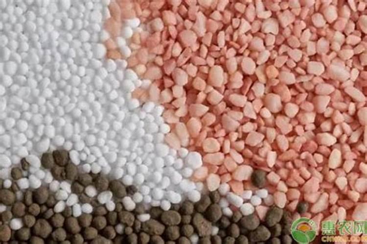 老师好!请问你,露天西瓜田施多少底肥,苗肥施几次,施多少？