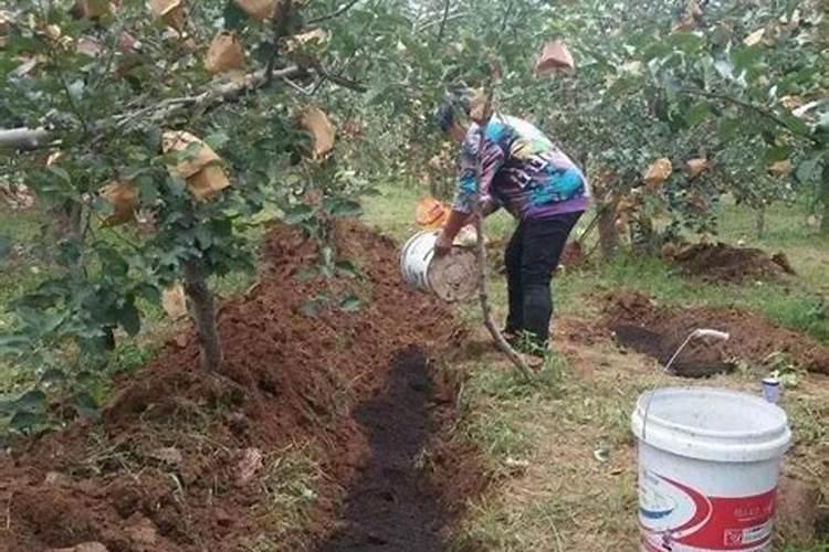 植物防冻剂有什么作用？正确的使用时间与使用方法是什么？