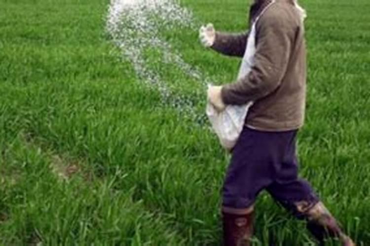 东北黑土地为什么那么肥沃？