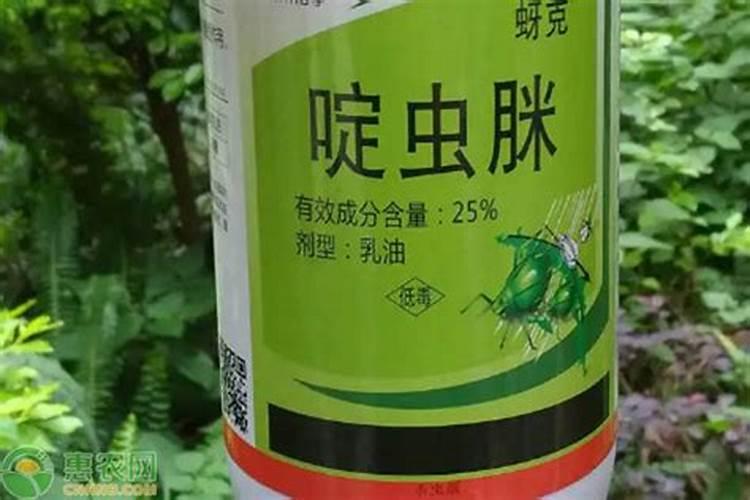 阿维啶虫脒能和吡唑醚菌酯一起喷雾吗？