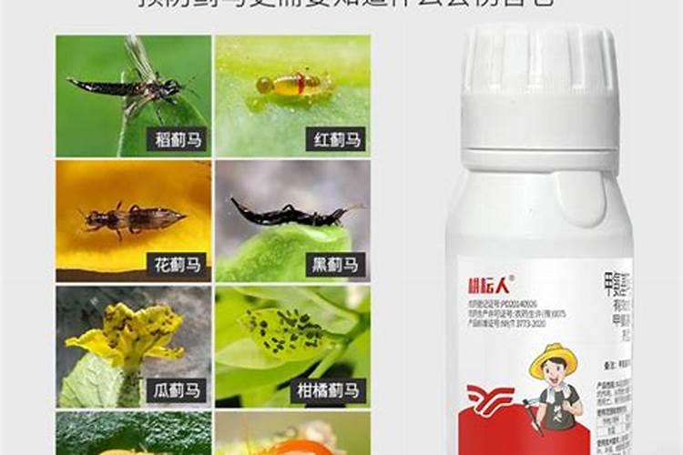 杀虫剂加叶面肥可以吗