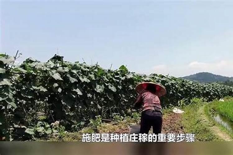 农家肥含什么成分？为什么种庄稼用它？