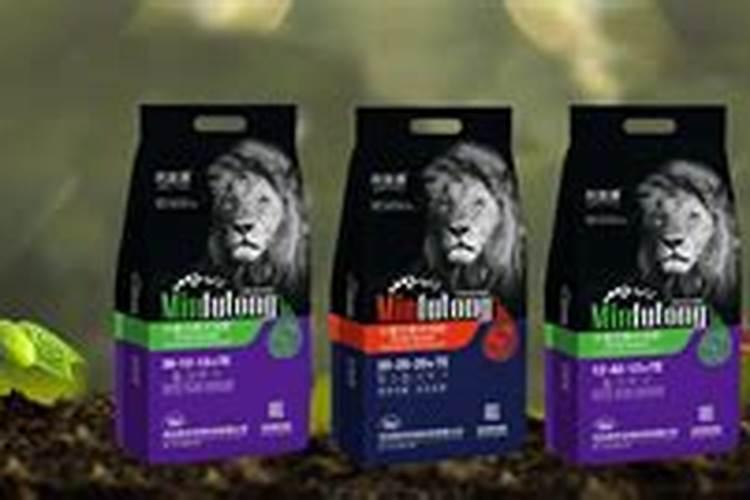 树木种植间距多少合适？