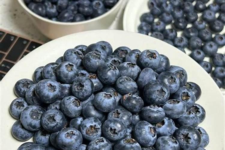 蓝莓都在什么时间段使用硼肥？