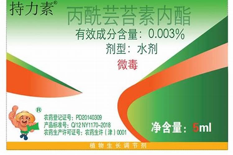 桂花开花前需要施肥吗