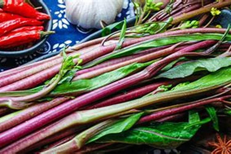 红菜苔施什么肥料好,红菜苔施肥注意事项