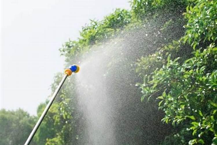茶油林能用芸苔素磷酸二氢钾棚肥作叶面肥吗？