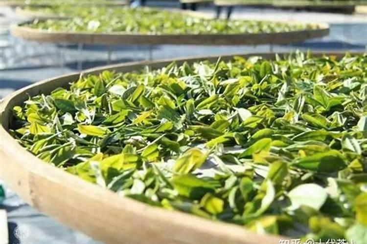 春茶前能下肥料吗