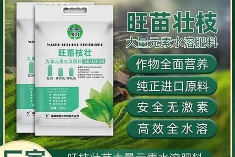 桉树有毒吗 桉树下面的山泉水能喝吗