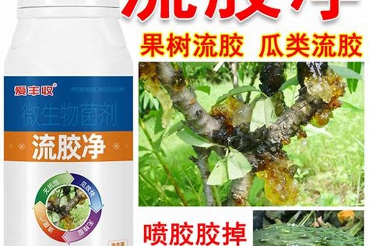 水稻价格多少钱一斤